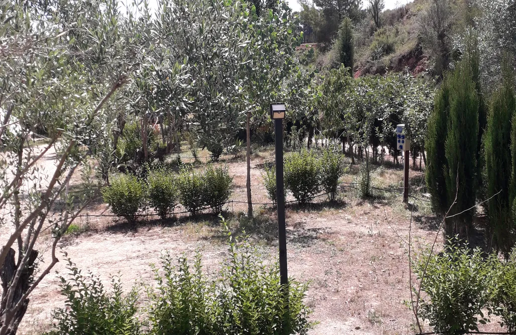 alojamientos AlohaCamp Sitio para tiendas - Pachamama Ecocamping 1