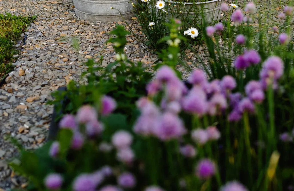 noclegi AlohaCamp . 4