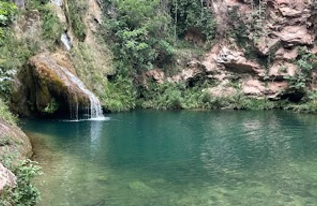 AlohaCamp Tiny House  1