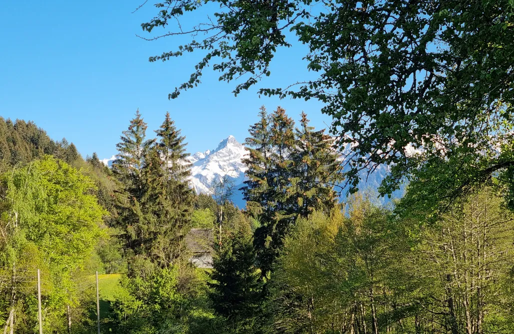 noclegi AlohaCamp Haus Rheintalblick 1