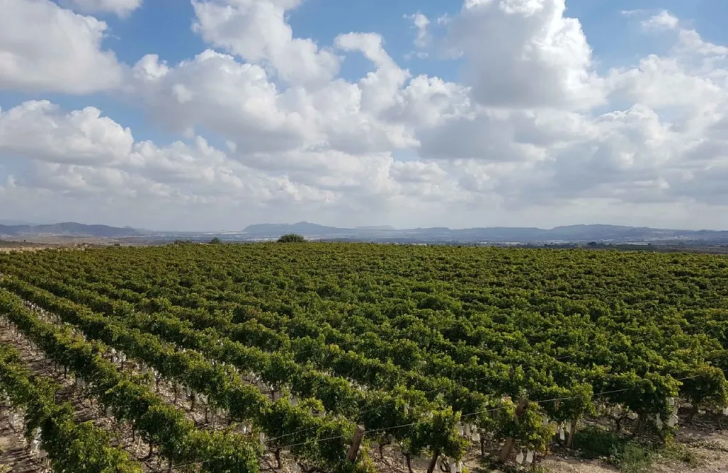 Camping Holidays Spain Sitio para campers: Entreviñas 3