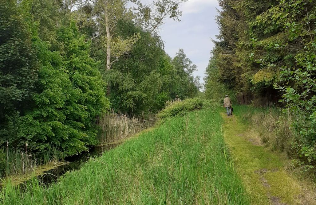 noclegi AlohaCamp Biwakownia KB2 - miejsce kamperowe i namiotowe nad morzem, Karwia, Pomorskie 3