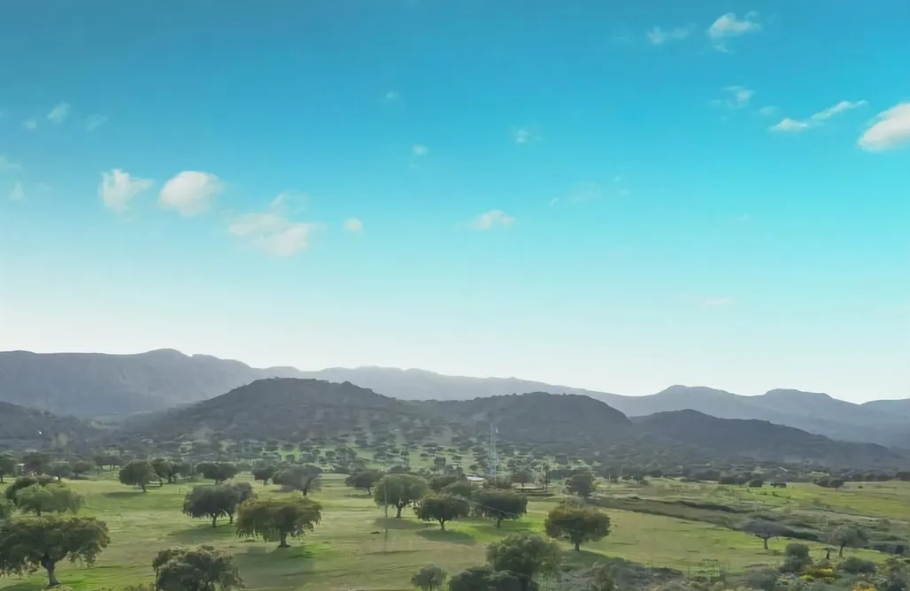 AlohaCamp Apartamento familiar 1