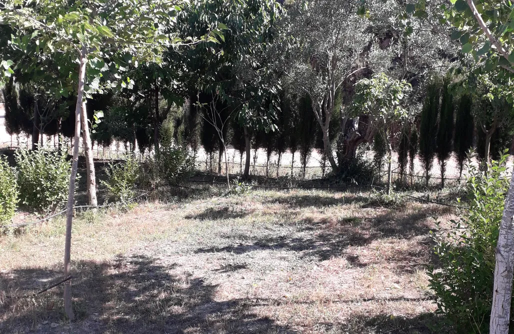 alojamientos AlohaCamp Sitio para tiendas - Pachamama Ecocamping 4