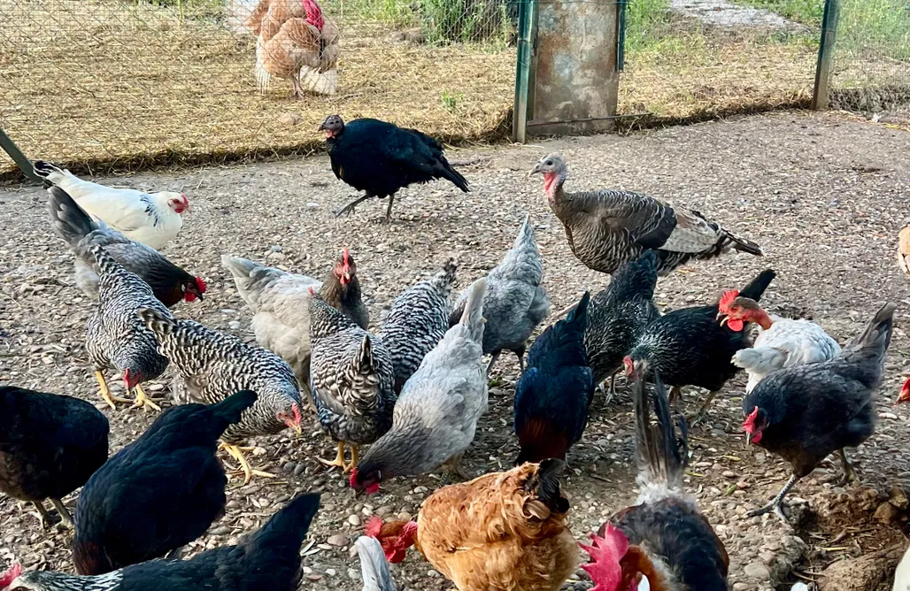 alojamientos AlohaCamp Casa El Mirador 1