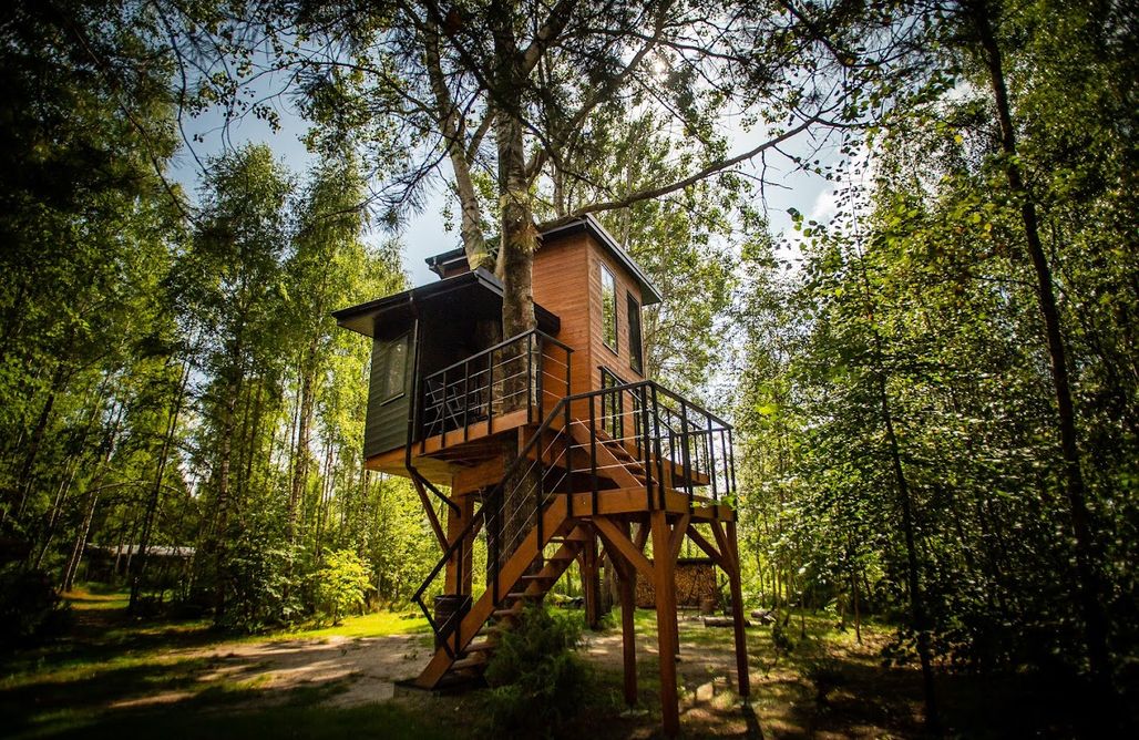 Glamping Warszawa Domek na drzewach - Na łośmiu metrach 2