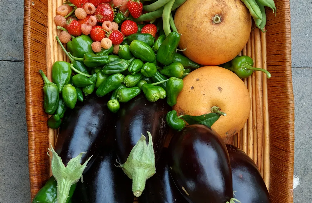 alojamientos AlohaCamp Casetón Do Forno 1