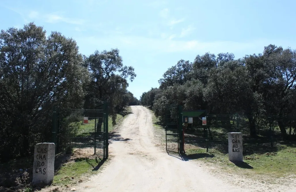 AlohaCamp Casa Vagón 1