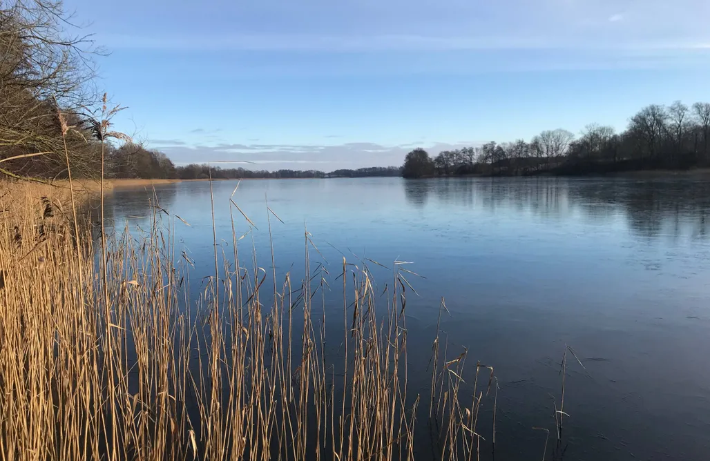 Unterkunft AlohaCamp Landhaus: Garten, Kamin, für Familien & Freunde 4