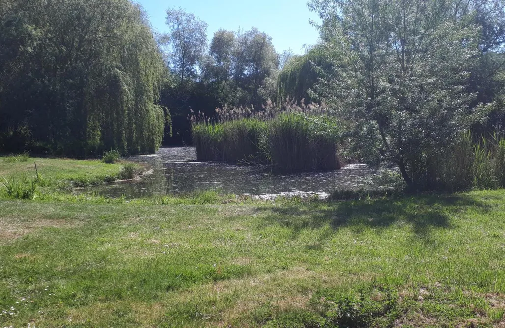 Unterkunft AlohaCamp Tiny House am Mittelberg 5