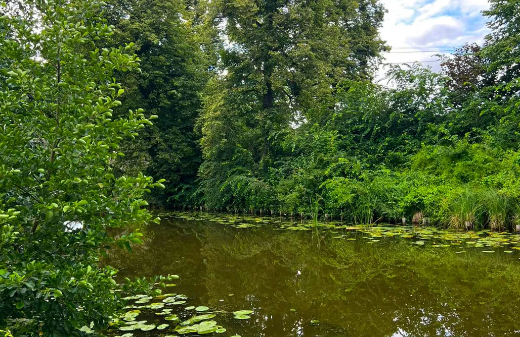 Uroczysko Łąkowe – domki wśród łąk nad Kanałem Iławskim AlohaCamp