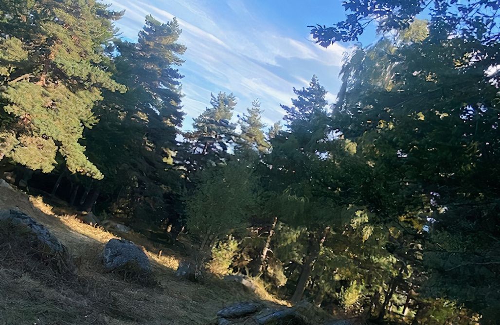 Hébergement AlohaCamp Roulcab des Pinatous 4