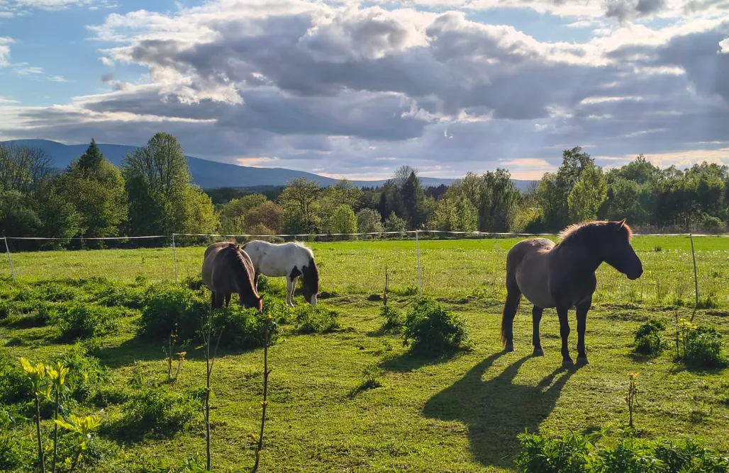 Campeggio Germania Miejsce kamperowe - Izera Camper  1