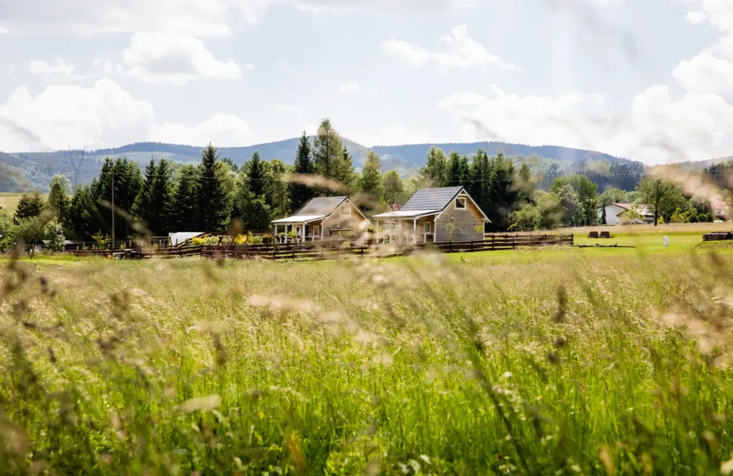 AlohaCamp Alicjówka 1