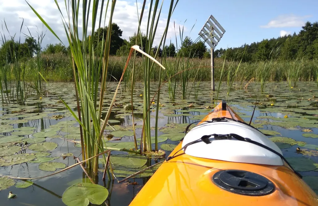Pole Namiotowe Kaszuby Miejsce kamperowe i namiotowe - Szumi Camp 3