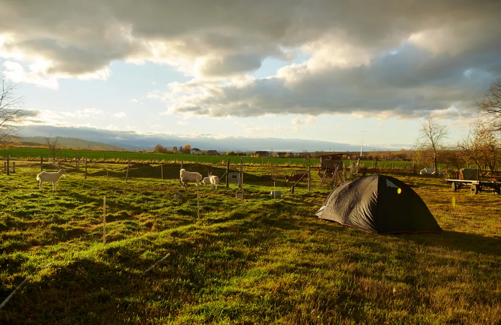 AlohaCamp Miejsce pod namiot 2