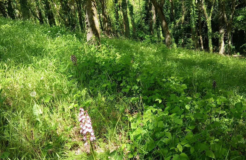 ubytování AlohaCamp Cascina Frati 1