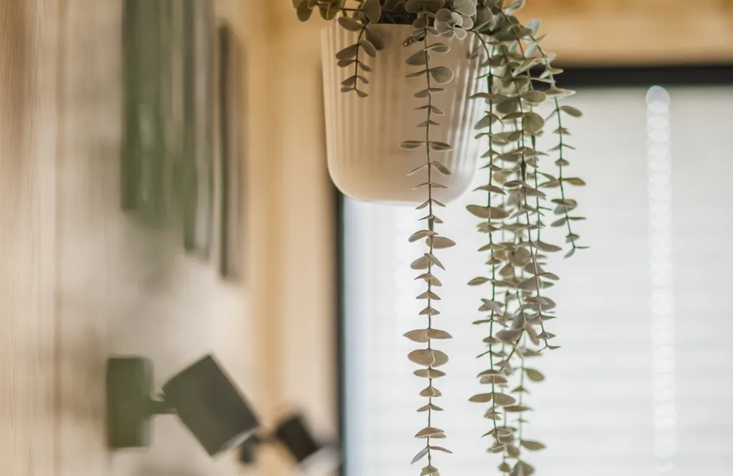 AlohaCamp Tiny house-Venus No. 2 z jacuzzi  3