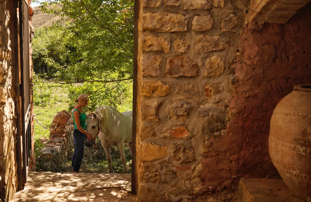 noclegi AlohaCamp Charming 18th century restored Villa 2
