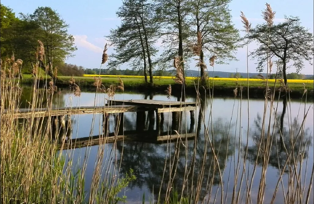 Unterkunft AlohaCamp Tiny House in der Elbtalaue 5
