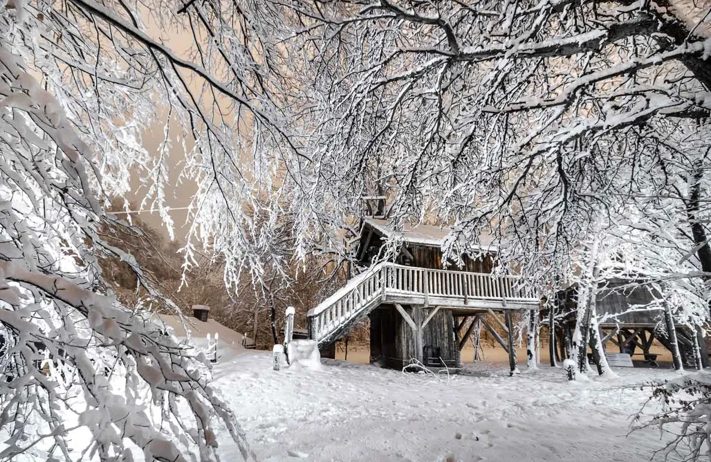 AlohaCamp Dom na drzewie Fajrant Kowala 1