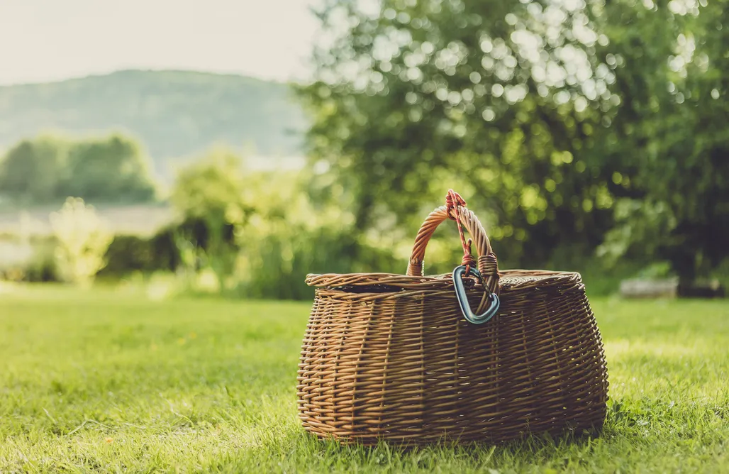 AlohaCamp Suite Belea 1