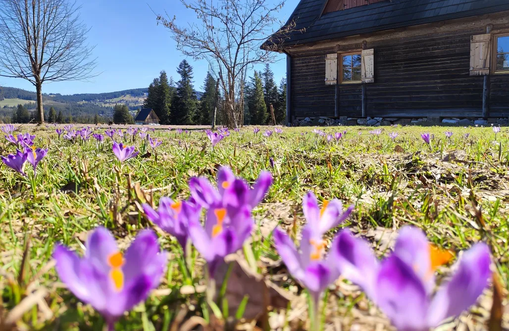 noclegi AlohaCamp Szałas na szlaku 3