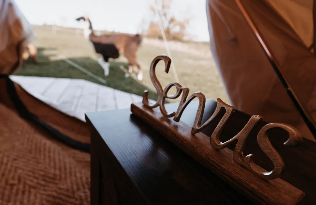 AlohaCamp Boho Zelt 2