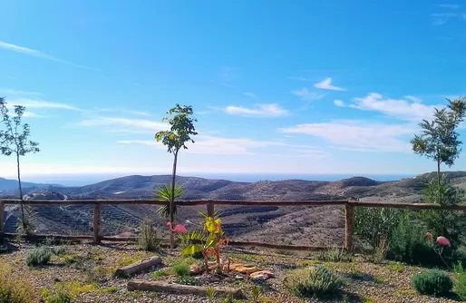 Imagen de Tropical Dreams Motril