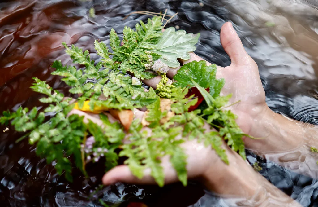 AlohaCamp ForRest Cabin 35 1