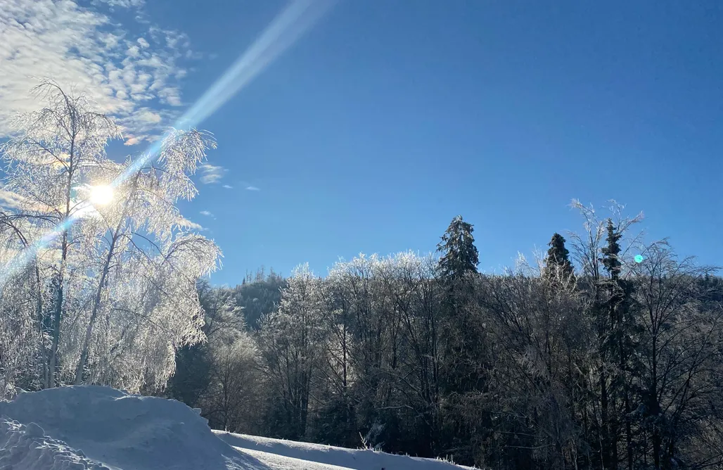 AlohaCamp Duszek Lasu 1