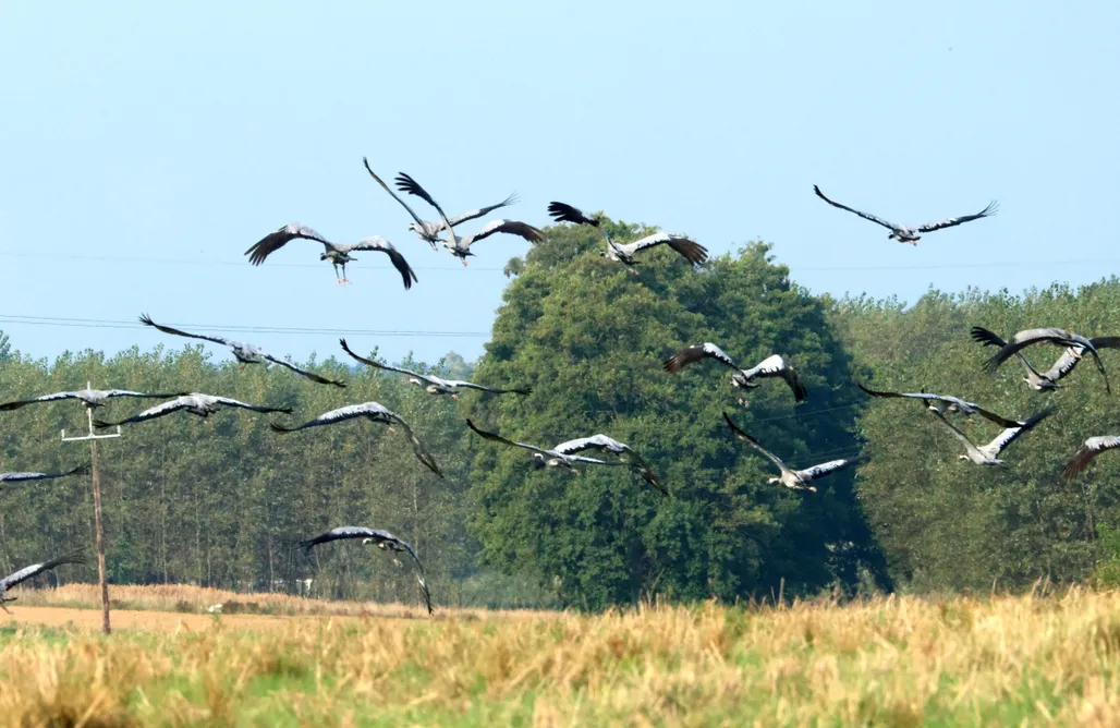 Pole campingowe Karkonosze Miejsce kamperowe - Pole kempingowe Łasko nad Jeziorem Okrągłe 3