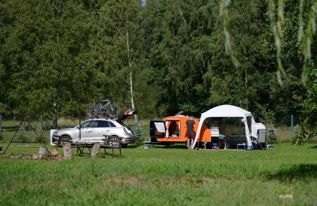 AlohaCamp Pole namiotowe Sosenka 1