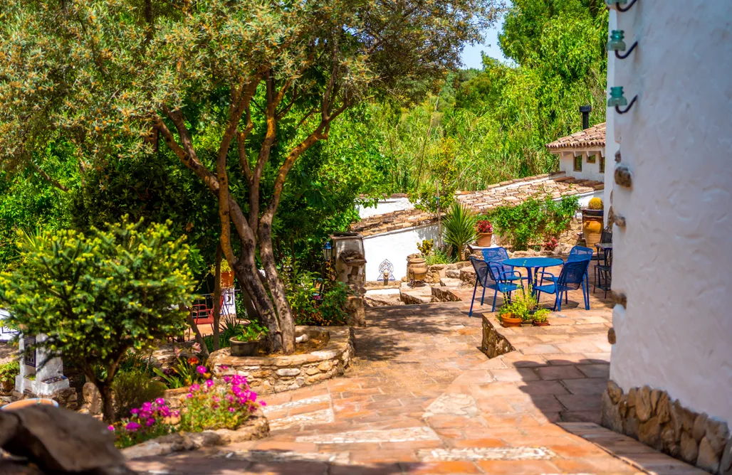 alojamientos AlohaCamp Cinco Lunas Retreat: Oasis & Conscious Guesthouse  5