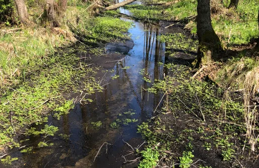 Zdjęcie obiektu W Zielonym Spichlerzu