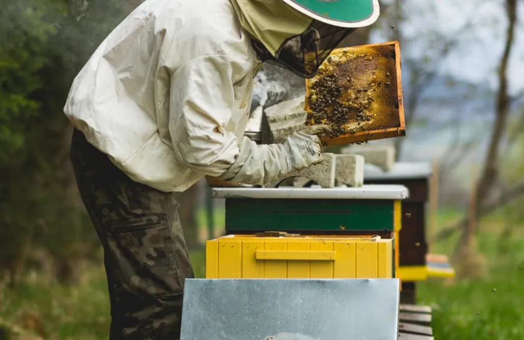 noclegi AlohaCamp 1 1