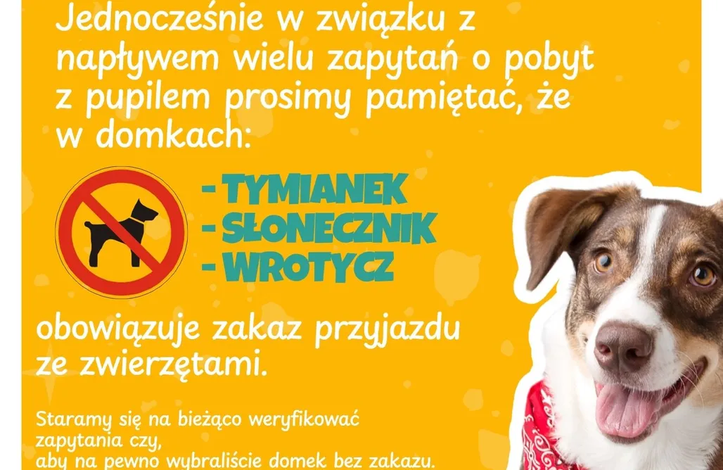 AlohaCamp Apartament Słonecznik 1