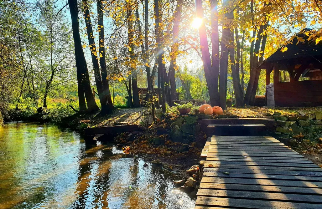 noclegi AlohaCamp Jurajska Sielanka 5