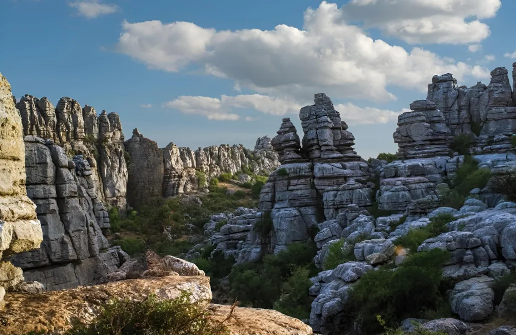 AlohaCamp La Huerta de la Lomardilla 1