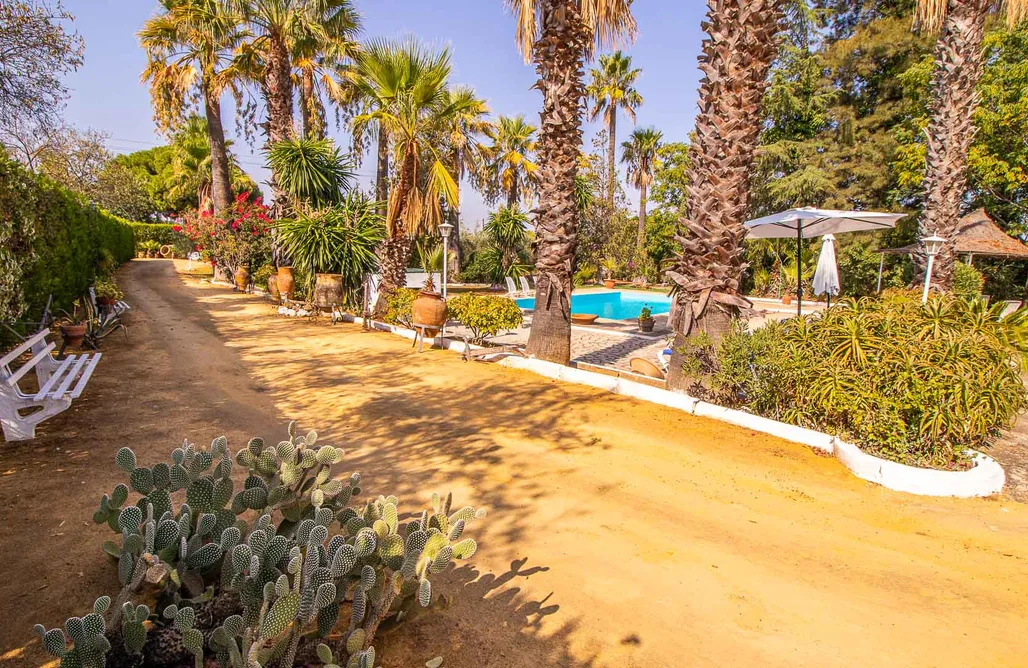 Alquiler Casa en El Rocio Casa Santa Ana 1