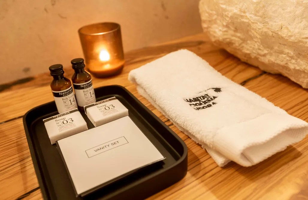 AlohaCamp Habitación Deluxe 2