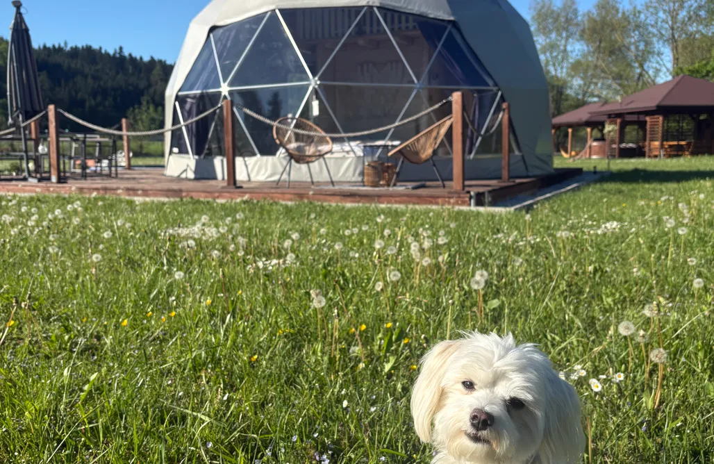 Hébergement AlohaCamp Glamping nad Sanem  1