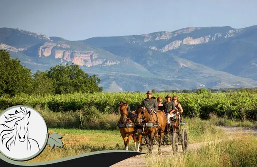 Imagen de Enoturismo Ecuestre