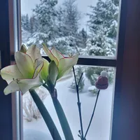 Rauschenbachmühle Gastgebe Rauschenbachmühle