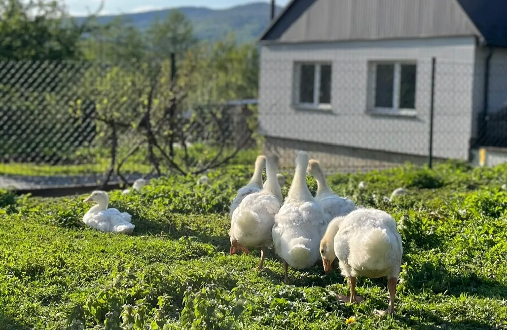 noclegi AlohaCamp Bądź blisko 4