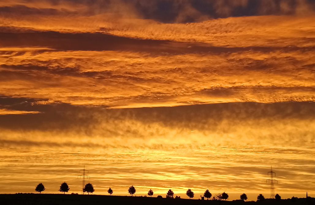 AlohaCamp Ferienhaus 1