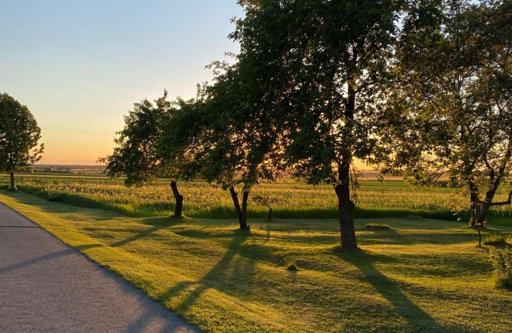 noclegi AlohaCamp Verde Land - Drewniany domek na wsi 1
