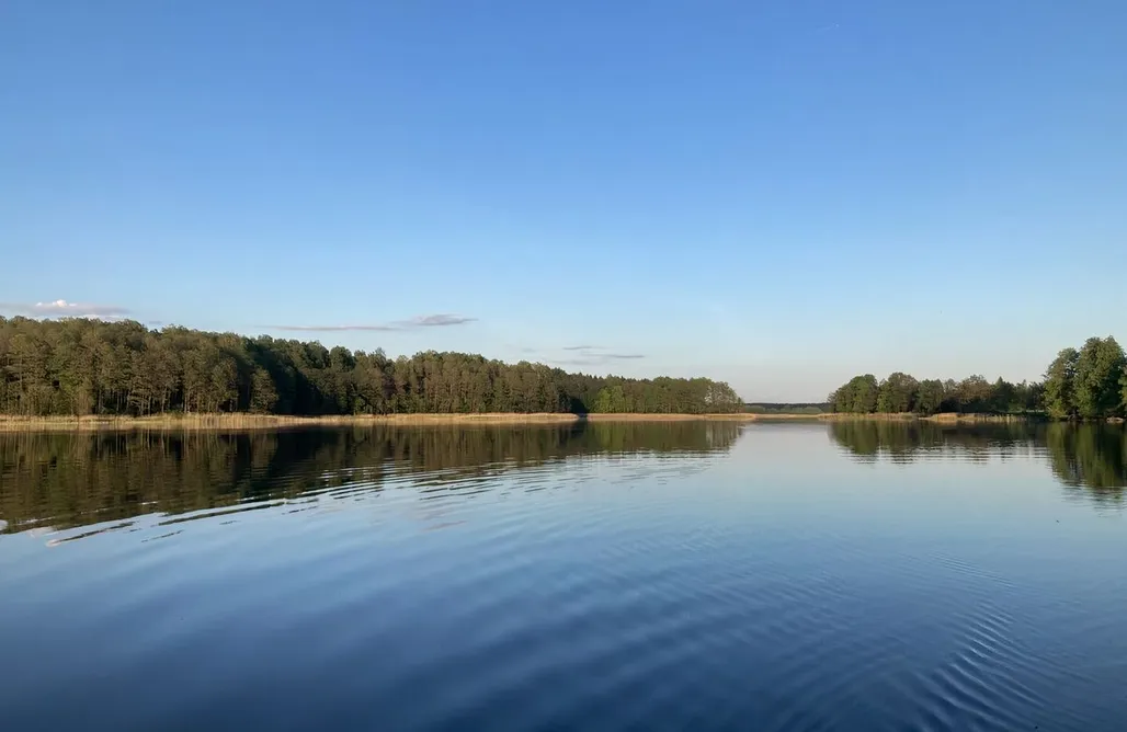 Hébergement AlohaCamp Cisy Resort II - ogrodzony teren na wyłączność 5
