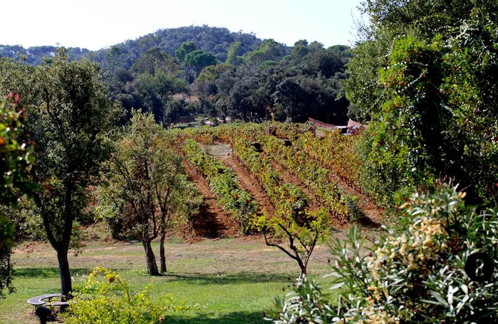 Hébergement AlohaCamp Bell-Lloc 4