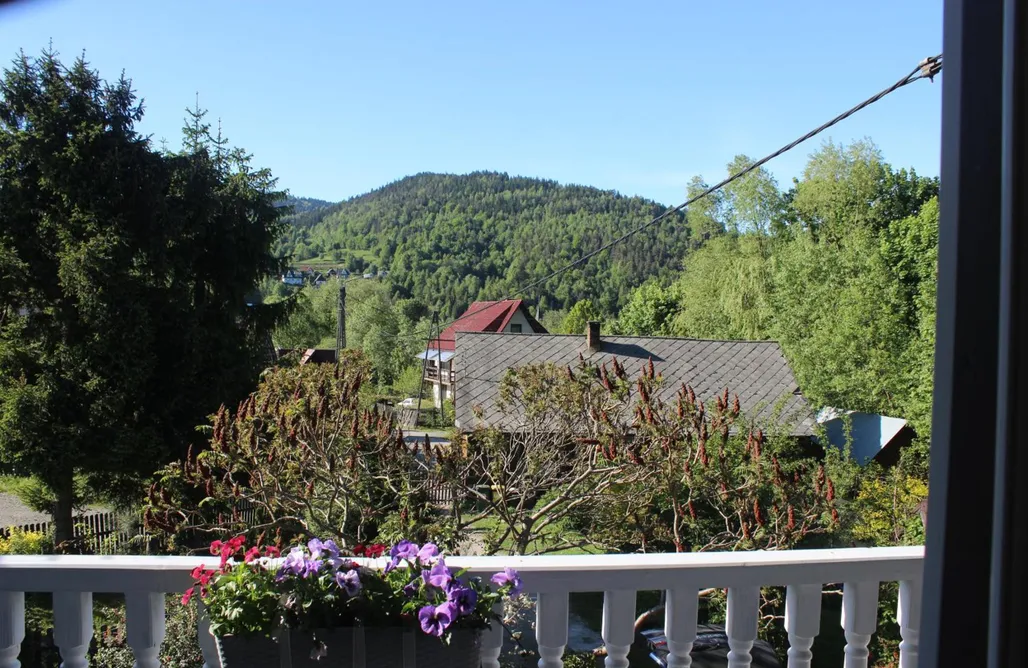 Skawica Domki Domek na Brzegu w Zawoi z Jacuzzi 3